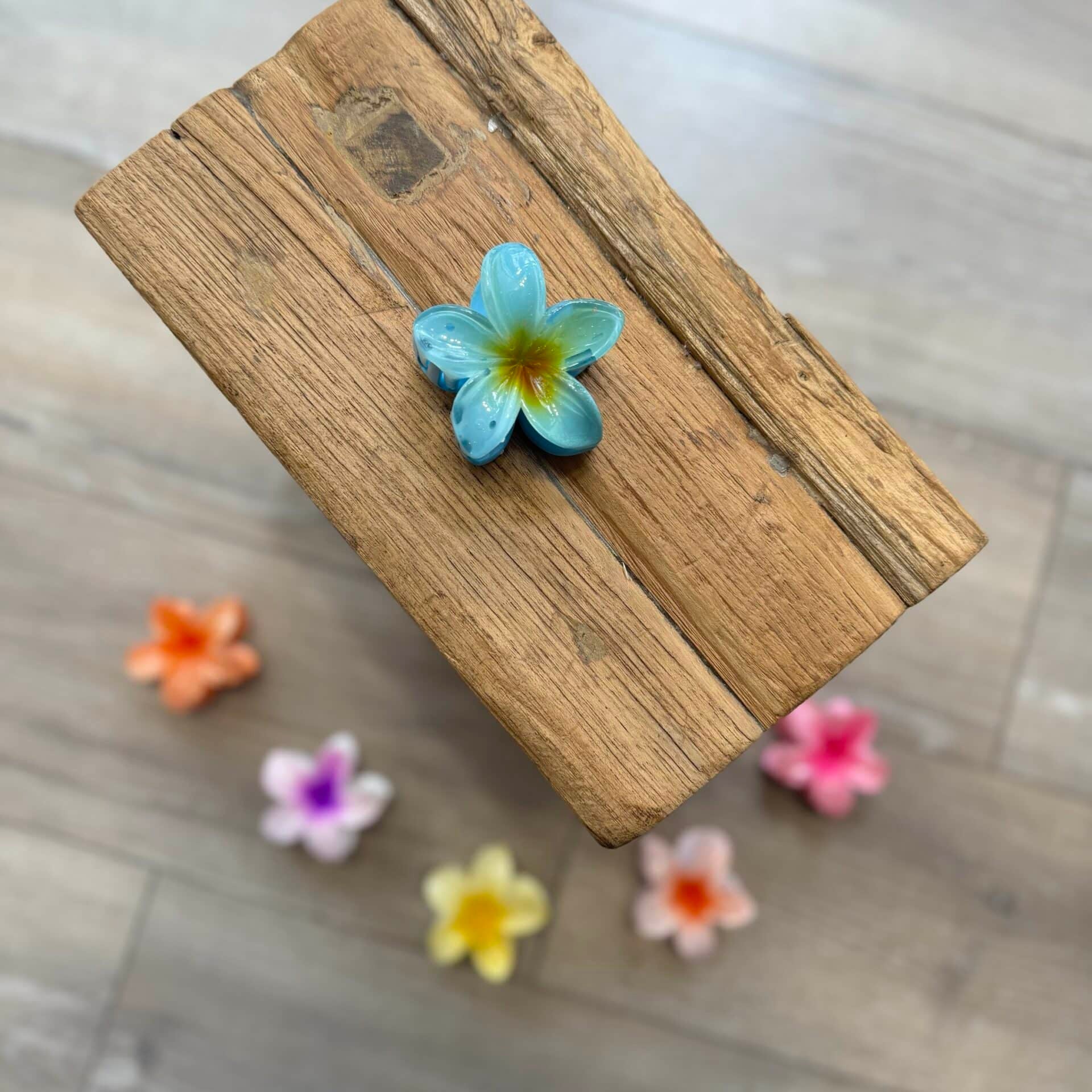 Moyenne pince à cheveux