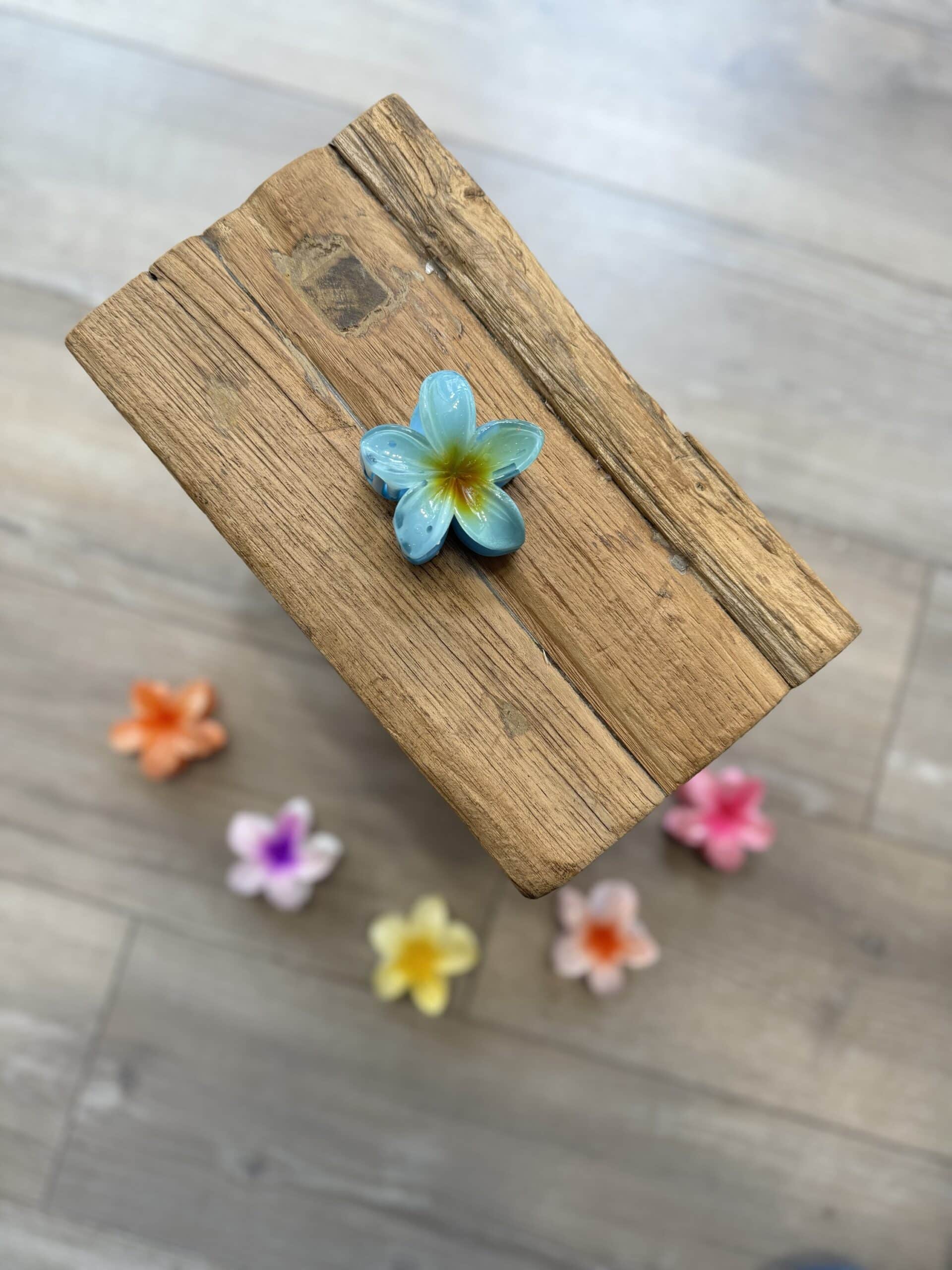 Moyenne pince à cheveux