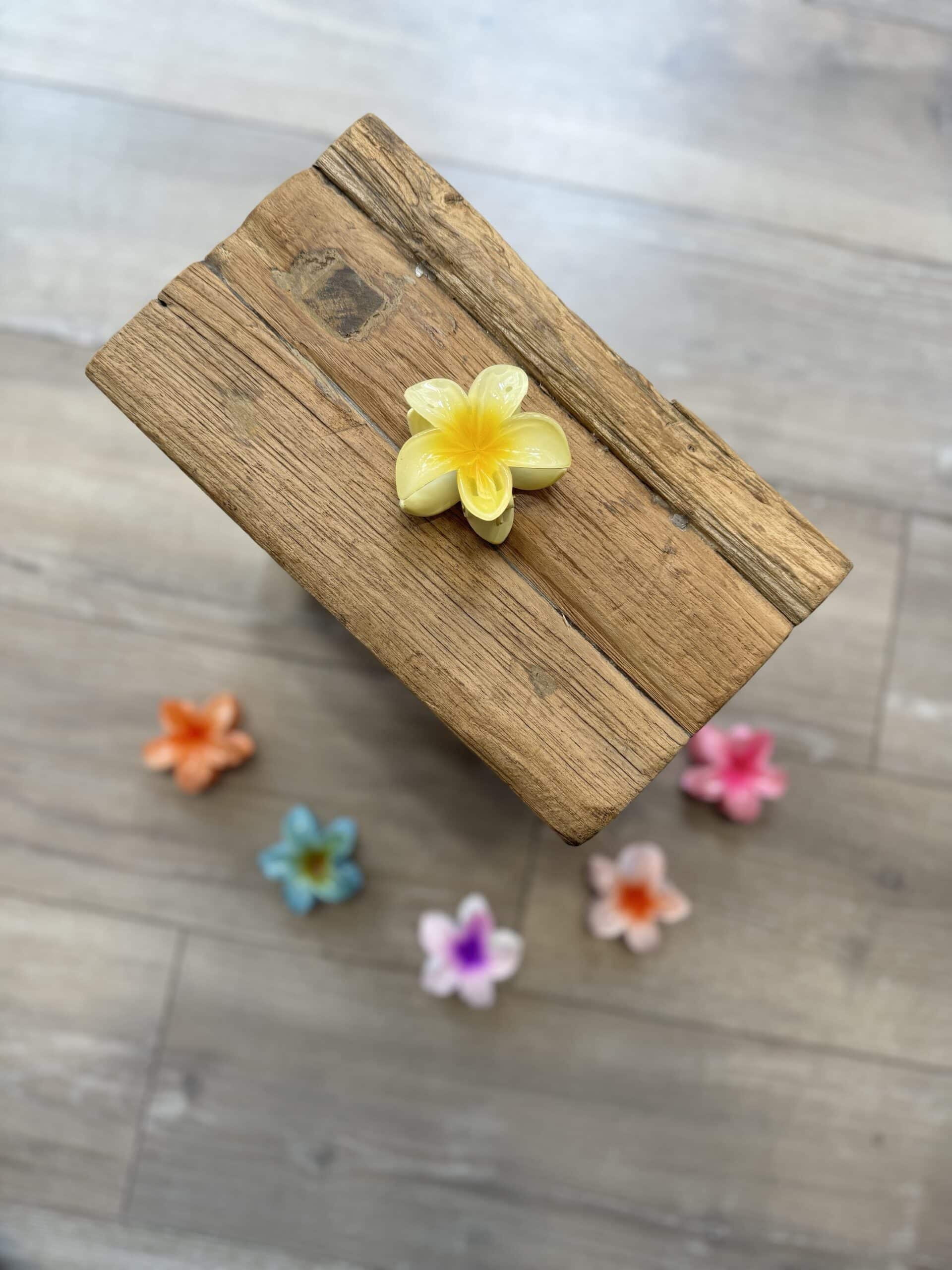 Moyenne pince à cheveux