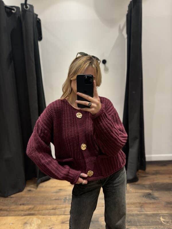 Pull « isa » bordeaux avec manches - Jade & Lisa