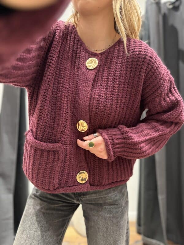 Pull « isa » bordeaux avec manches - Jade & Lisa